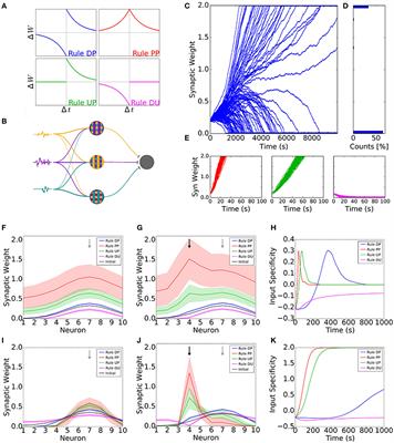 The Role of Neuromodulators in Cortical Plasticity. A Computational Perspective